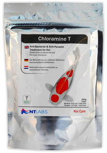 NT Labs Chloramine T Parasite & Bacteria Treatment