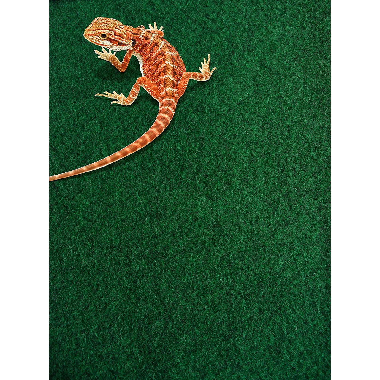 Komodo Reptile Carpet Substrate