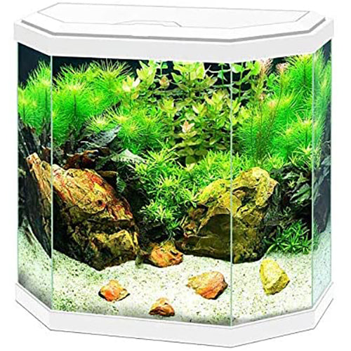 Ciano Hex 30 LED Aquariums