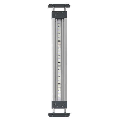 Oase HighLine Premium LED Lighting