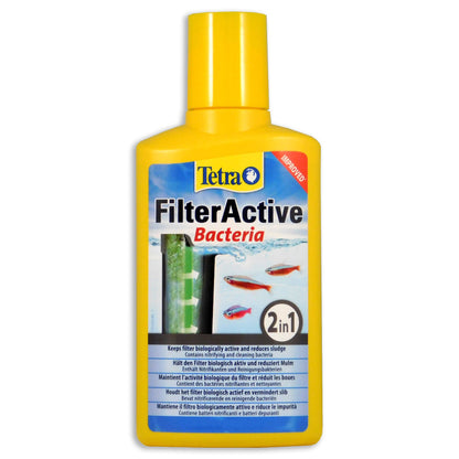 Tetra Filter Active