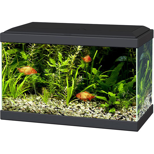 Ciano Aqua 20 LED Aquarium with Filtration & LED Lighting