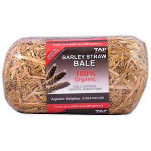 TAP Barley Straw Bales