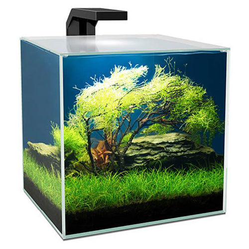 Ciano Cube 15 LED Aquarium