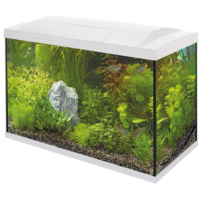 Superfish Start 150 Tropical Aquarium Kits (146L)