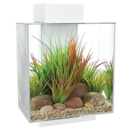 Fluval Edge 2.0 46L Aquariums