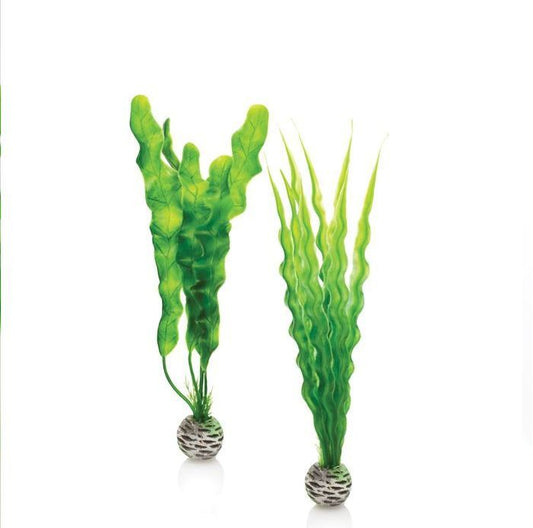 BiOrb Easy Plants (Medium x2) - PL02