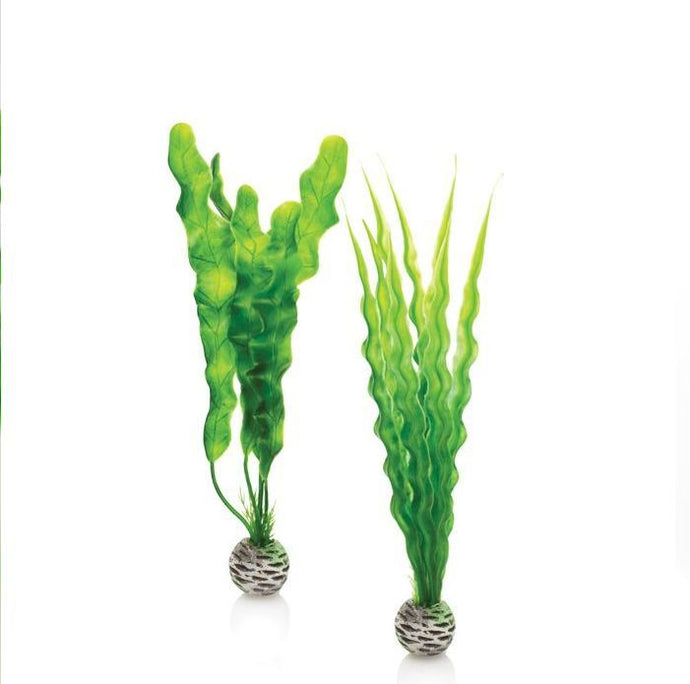 BiOrb Easy Plants (Medium x2) - PL02