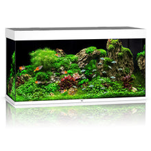 Juwel Rio 350 LED Aquarium Only
