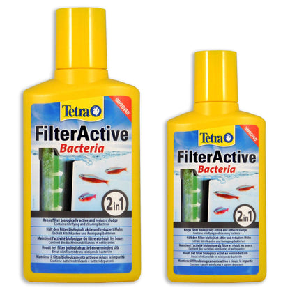 Tetra Filter Active