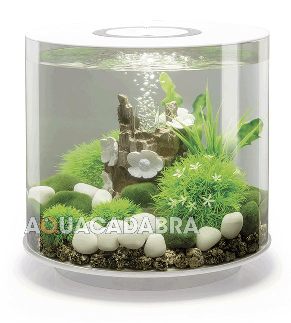 Aquacadabra aquarium shop