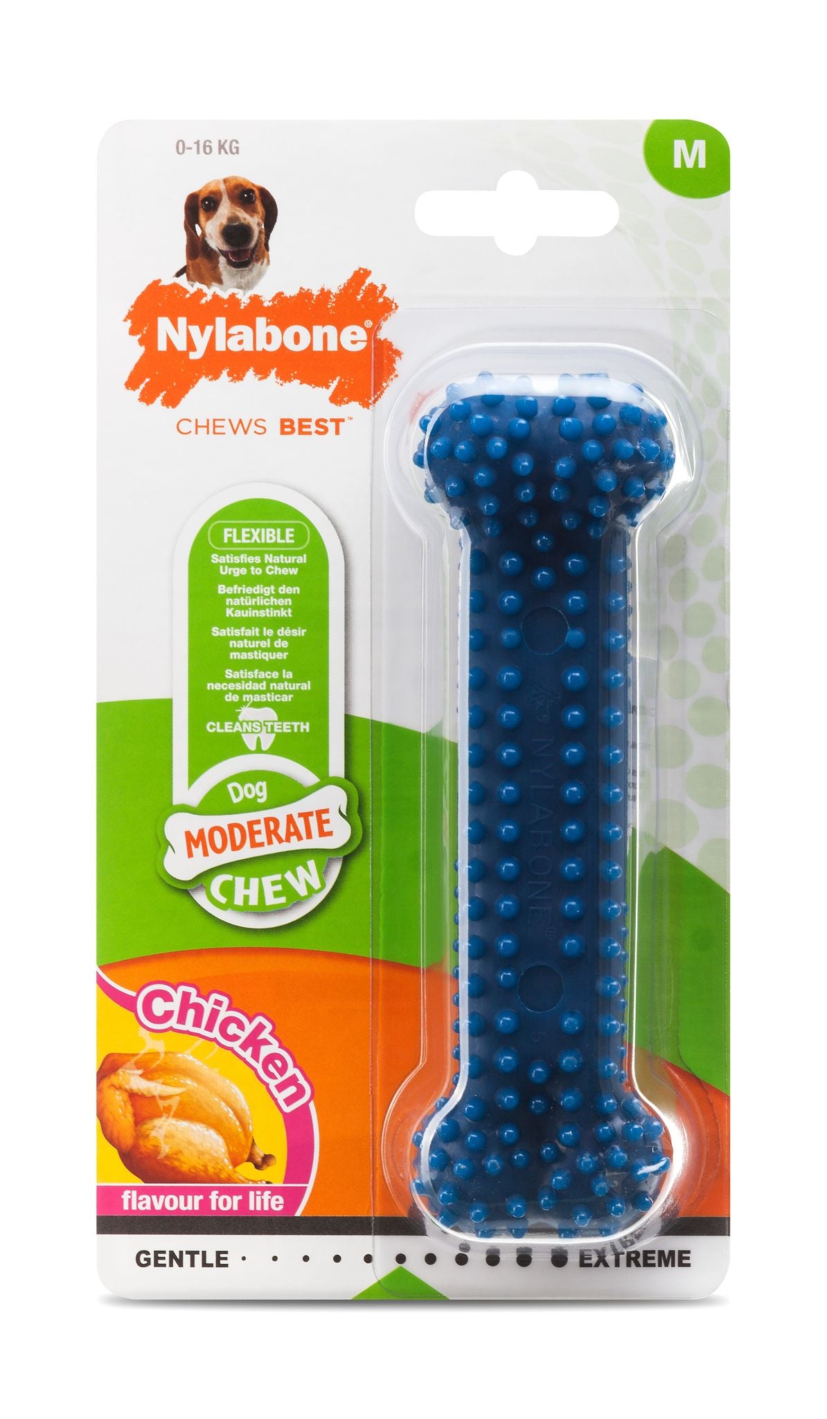 Nylabone Moderate Dental Dog Chew