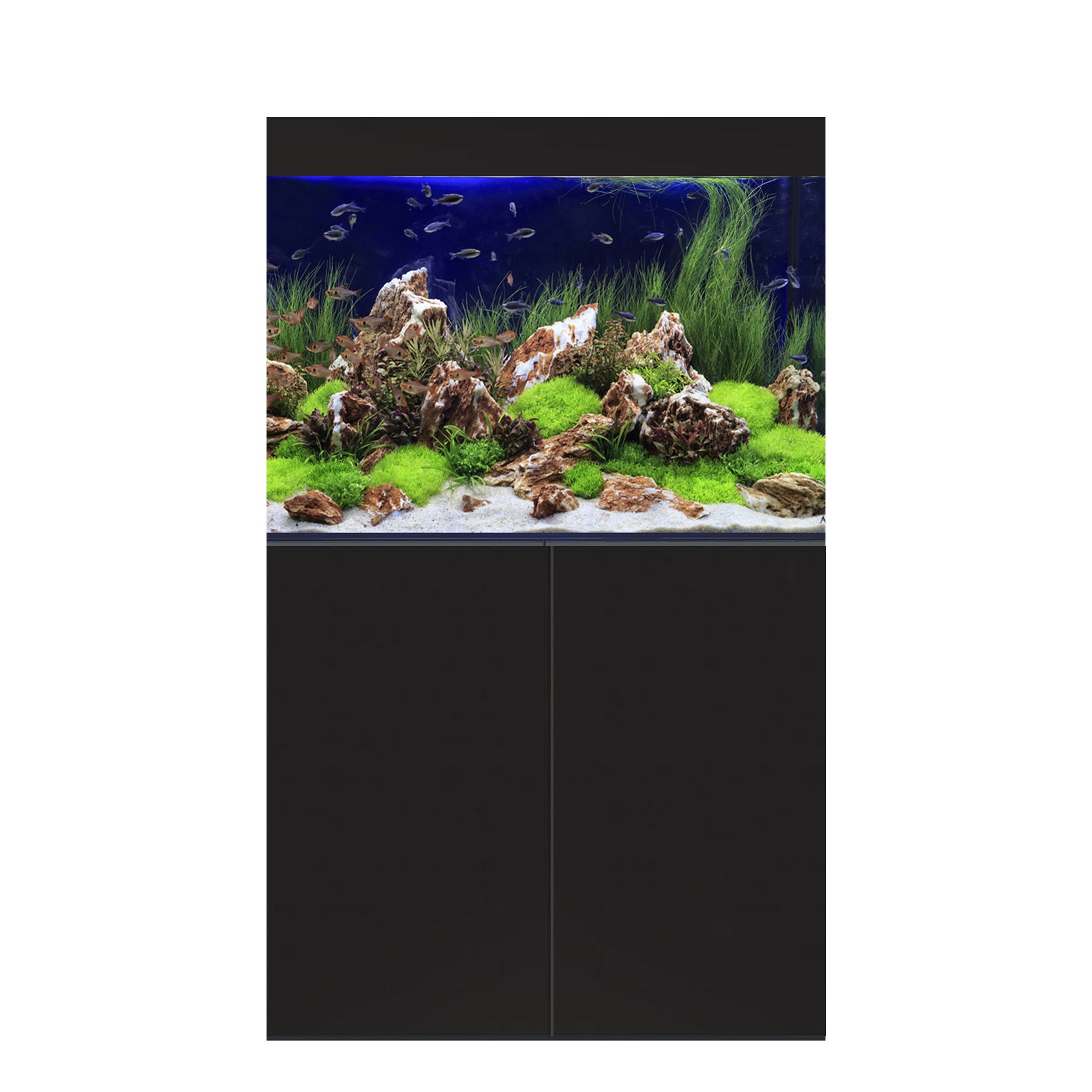 D-D Aqua-Pro Freshwater 900 Tank & Cabinet (Satin Black)