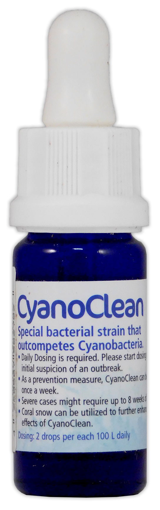 Korallen-Zucht Cyano Clean
