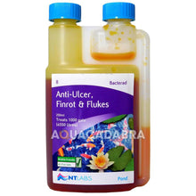 NT Labs Bacterad Anti Ulcer
