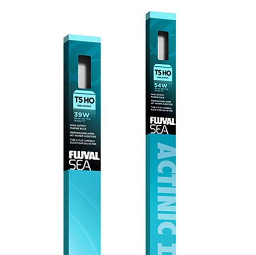 Fluval T5 HO Sea Actinic Bulbs