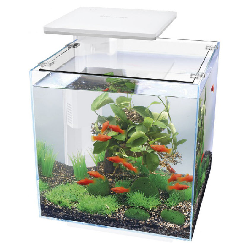 Superfish Qubiq 30 Aquariums (with LED Lighting)