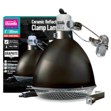 Arcadia Clamp Lamps with Graphite Holder