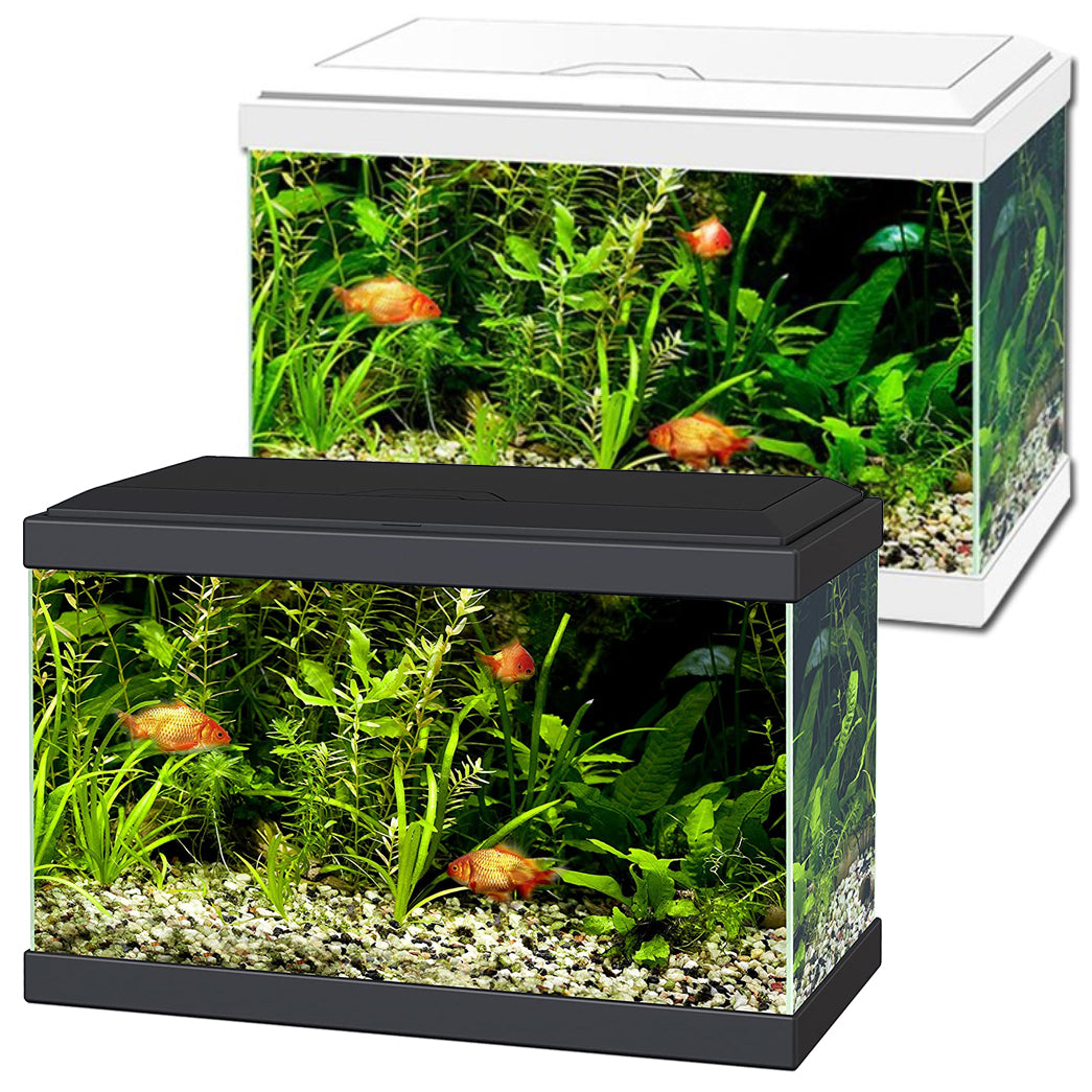 Ciano Aqua 20 LED Aquariums