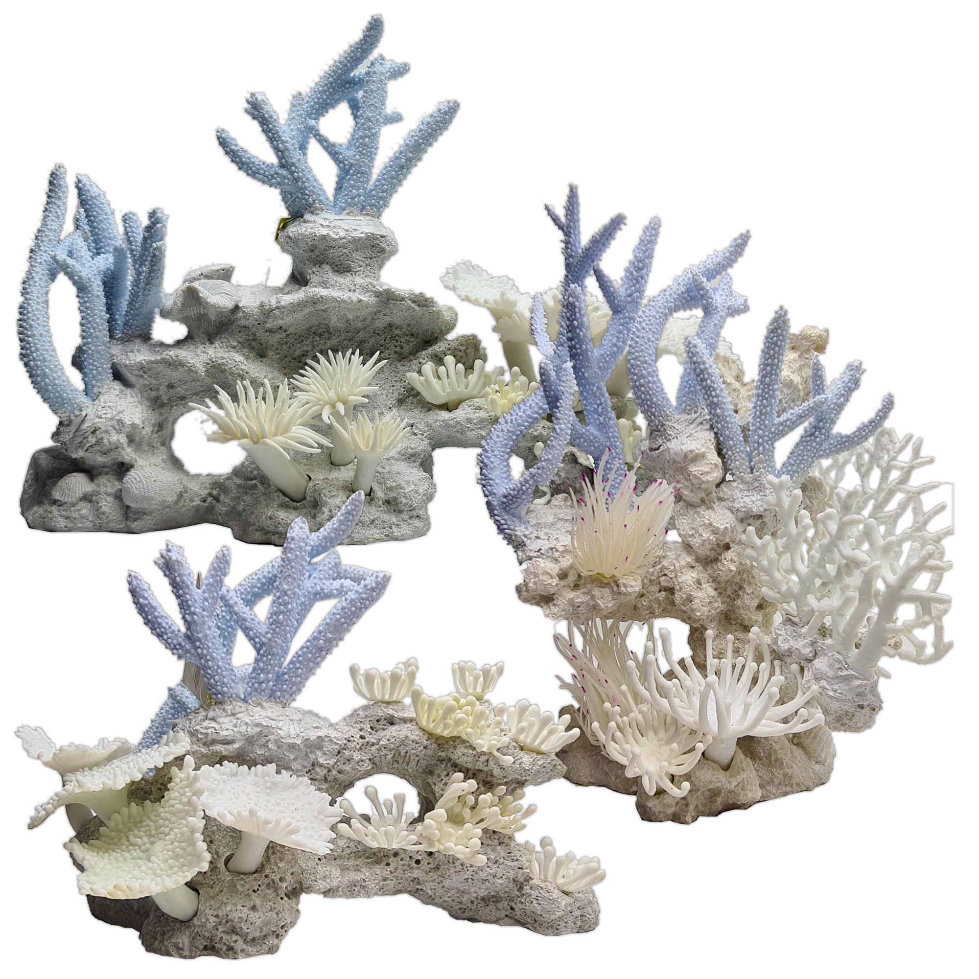 Coral Illustration Sea Coral Print Nautical Decor Nautical - Etsy