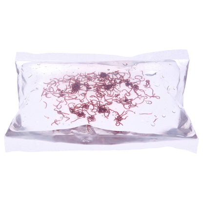 Live Food: Bloodworm 140ml (See Listing for Shipment details)