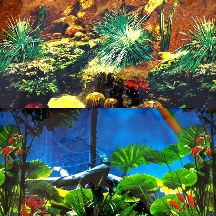 Cactus Garden / Rainforest Repeating Background (19