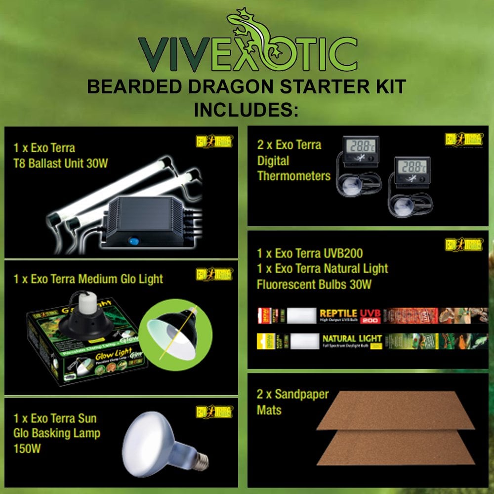 Vivexotic Viva Bearded Dragon Starter Kit (PT4165)