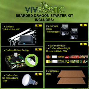 Vivexotic Viva Bearded Dragon Starter Kit (PT4165)