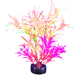 Marina iGlo Plant Pink Alternanthera 5.5"