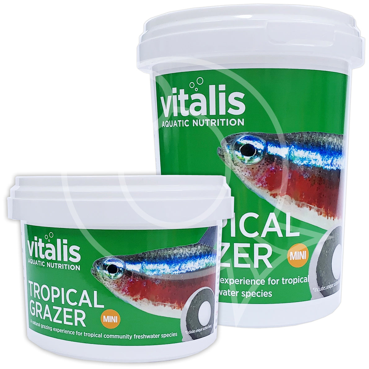 Vitalis Mini Tropical Grazer