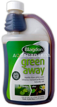 Blagdon Green Away