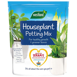 Westland Houseplant Potting Mix