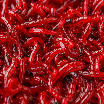 Live Food: Bloodworm 140ml (See Listing for Shipment details)