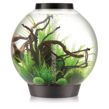 biOrb Classic MCR 105L Aquariums