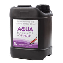 Aqua Source Aqua Balance Vitalize
