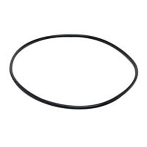 Fluval Motor Seal Ring (305/06, 405/06) - A20063