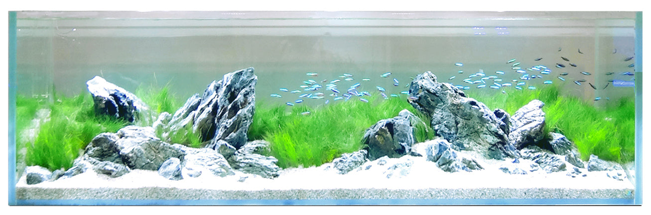 D-D Aqua-Pro Aquascaper 1800 (Aquarium Only)