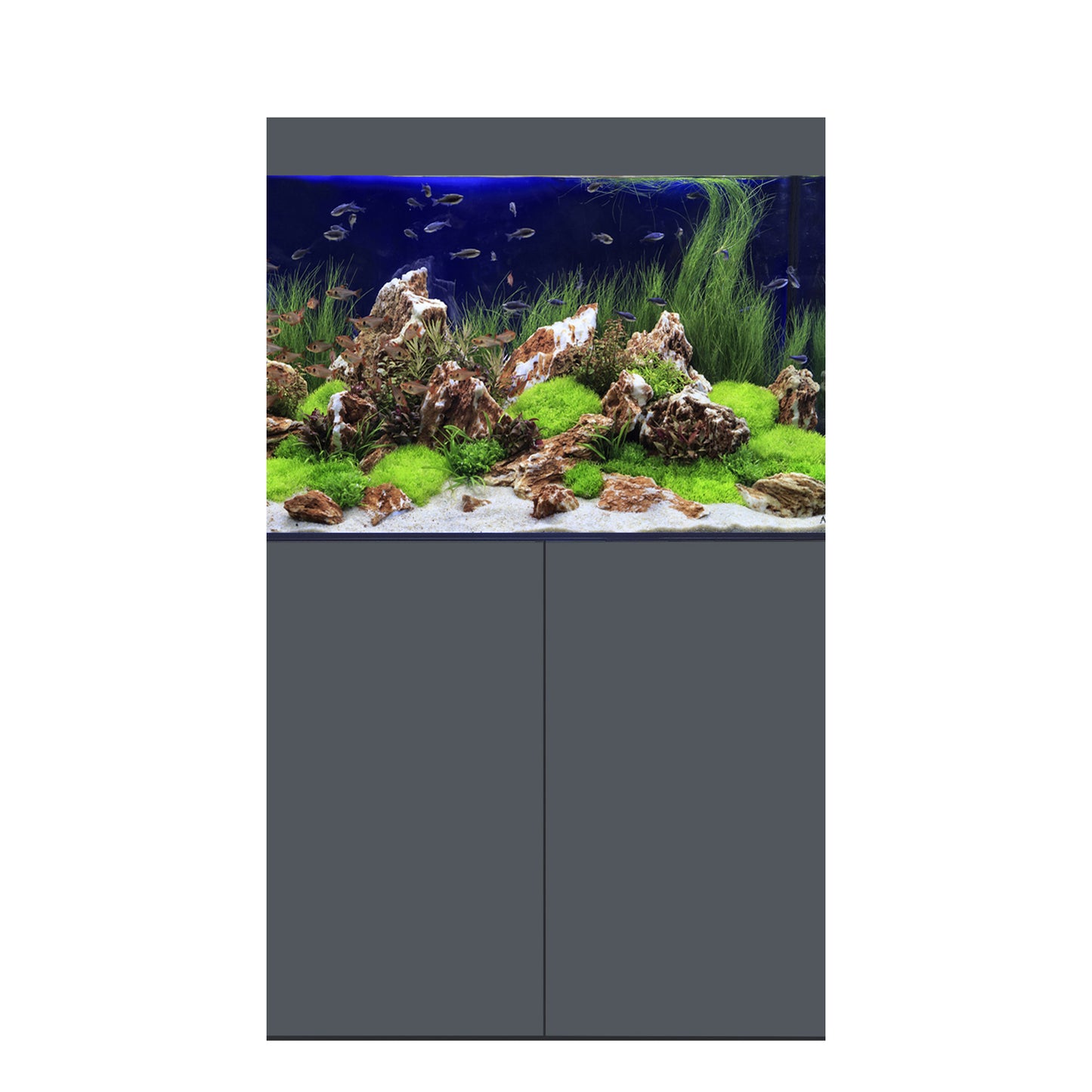 D-D Aqua-Pro Freshwater 900 Tank & Cabinet (Matt Anthracite)