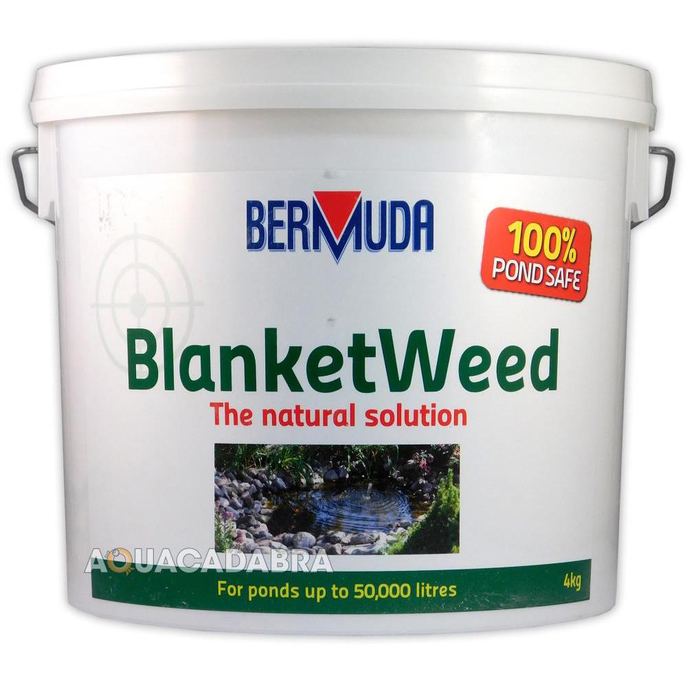 Bermuda BlanketWeed Treatment