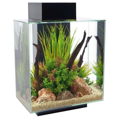 Fluval Edge 2.0 46L Aquariums