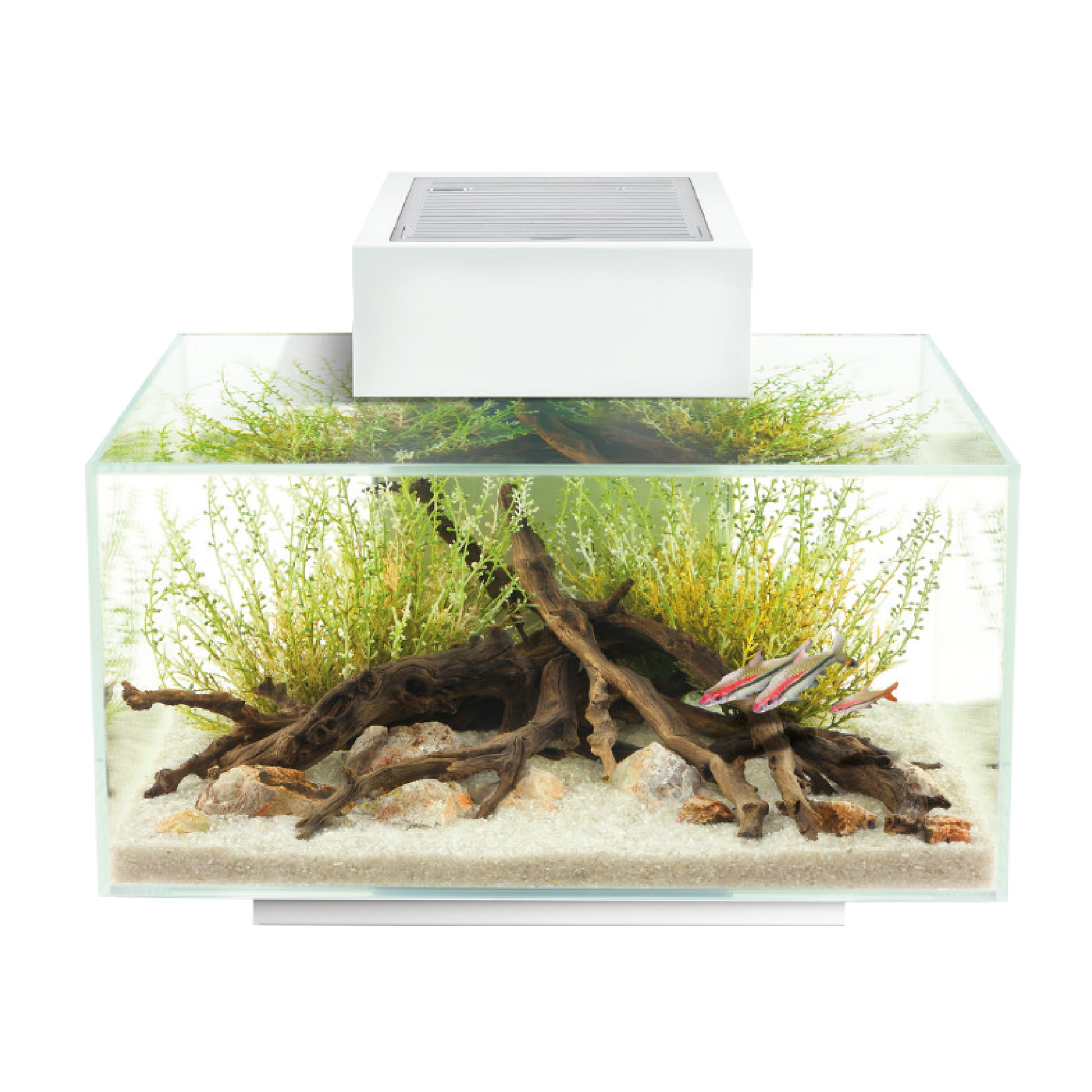 Fluval Edge 2.0 23L Aquariums