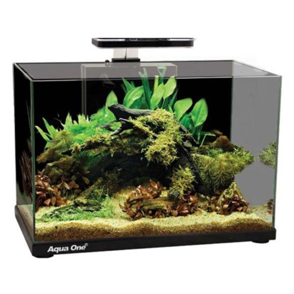 Aqua One Focus 36 Glass Aquarium 36L