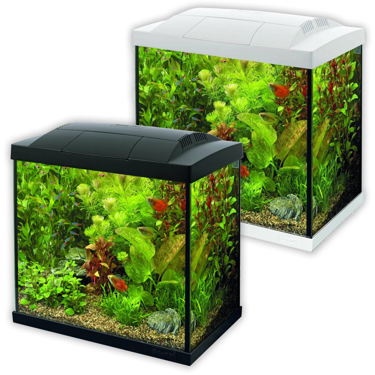 Small Aquariums On Sale photo