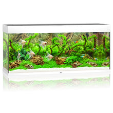 Juwel Rio 240 LED Aquarium Only