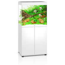 Juwel Lido 200 LED Tropical Aquarium & Cabinet