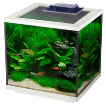Interpet Aqua Cube LED 28L Aquarium