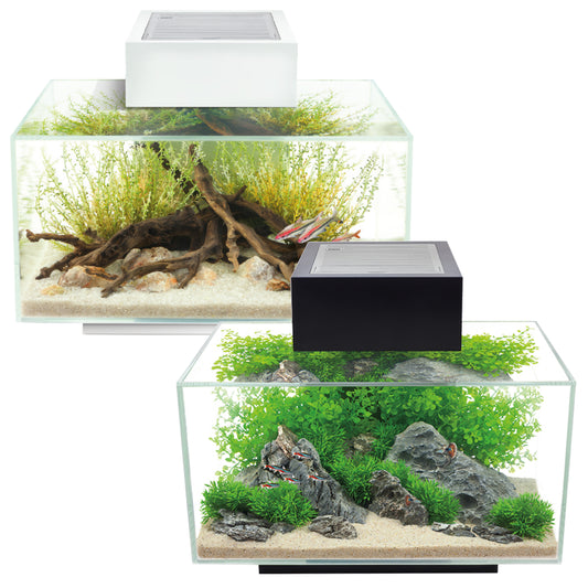 Fluval Edge 2.0 23L Aquariums