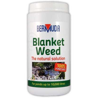 Bermuda BlanketWeed Treatment