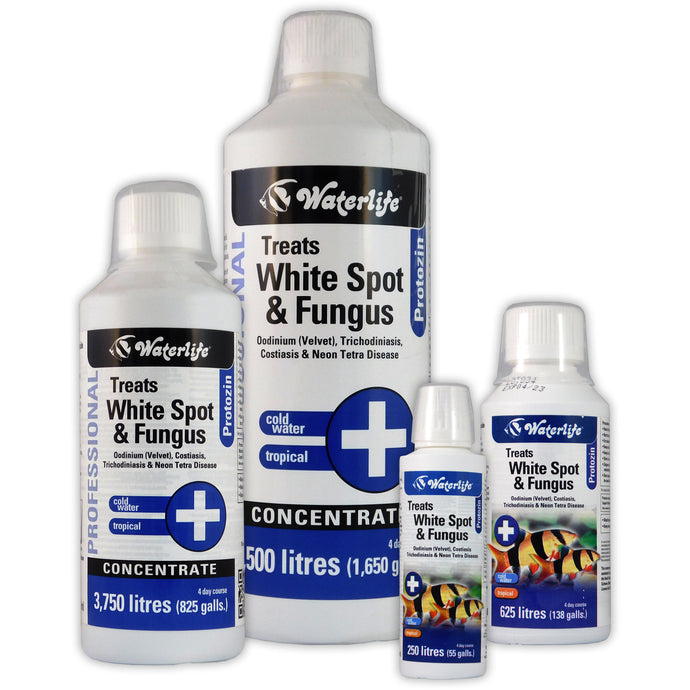 Waterlife Protozin - White Spot & Fungus Treatment