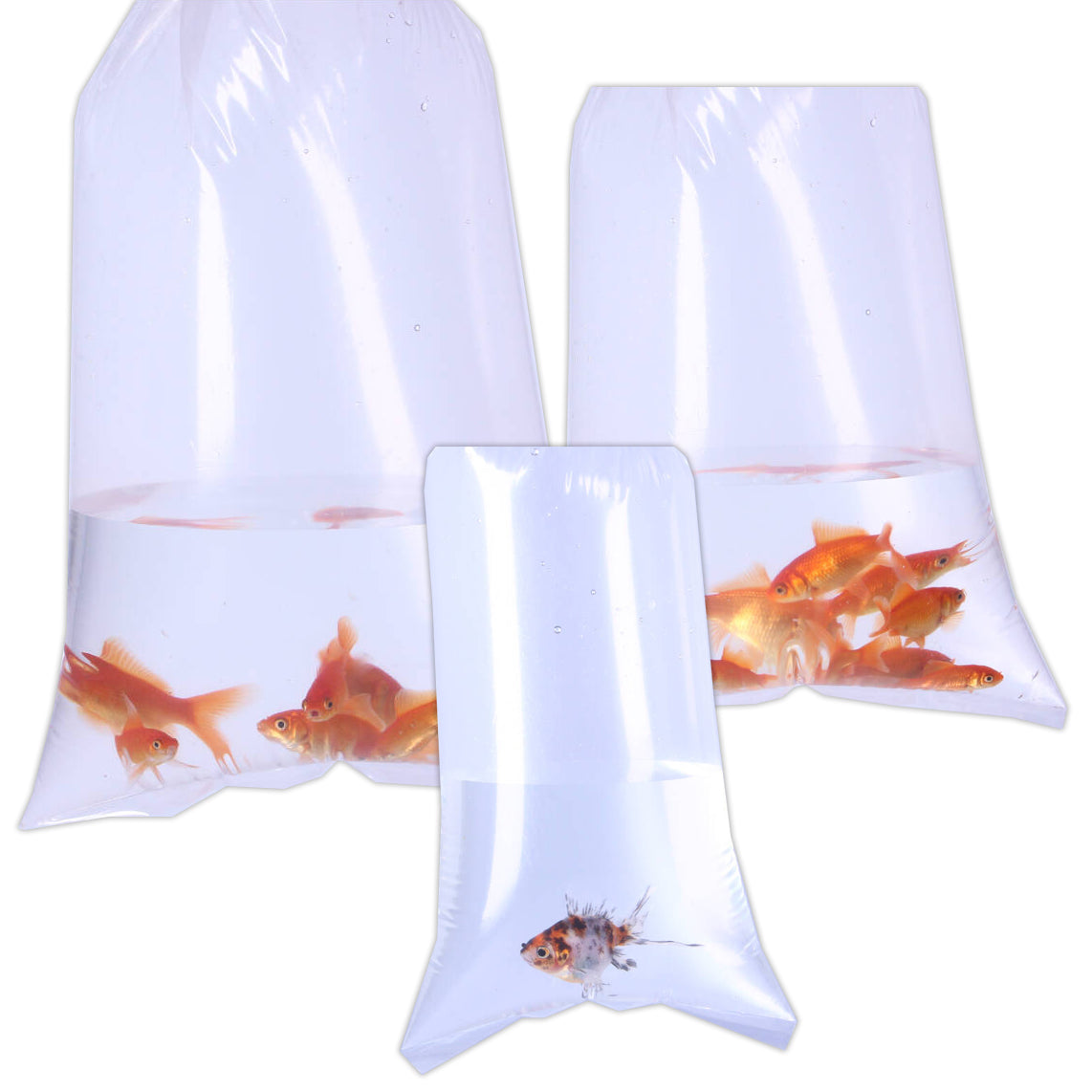 Aquacadabra Fish Transport Bags | from Aquacadabra